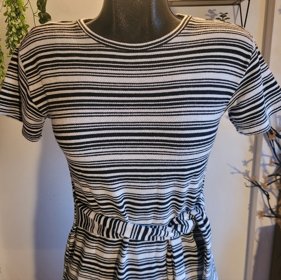 BB Dakota -Steve Madden dress Sz.XS - Picture 2 of 9